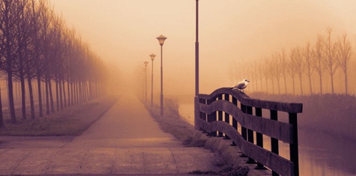 強調個性化的句子(精選20句) 強調個性化的句子(精選20句)