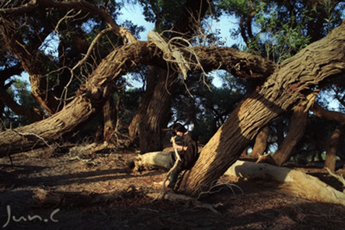 關于水的悲傷句子（推薦15條）