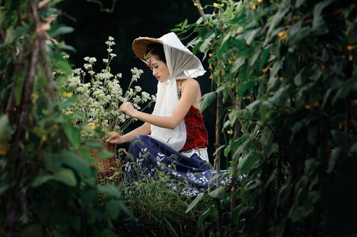 形容杜鵑花開的漂亮的短句