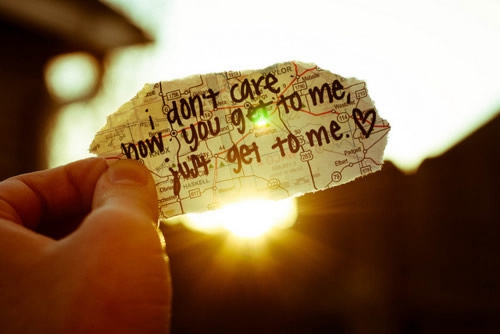 形容愛情的樹的句子