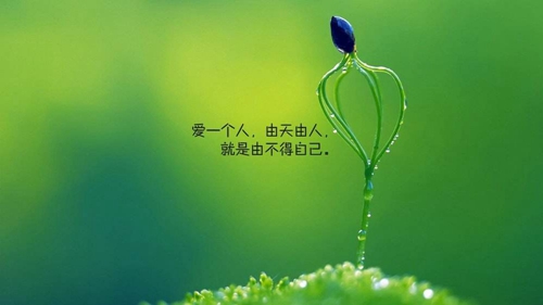 時光請你善待我的她i