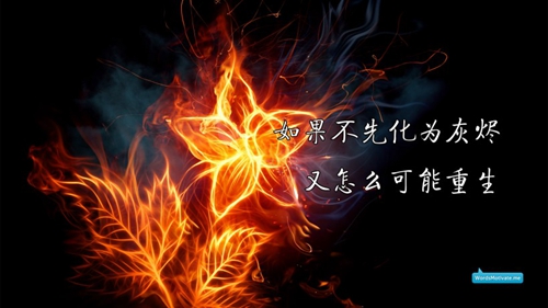 新年賀詞祝福語表白