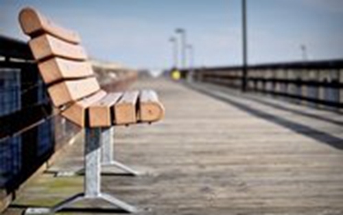 給醫(yī)院主任發(fā)的拜年短信