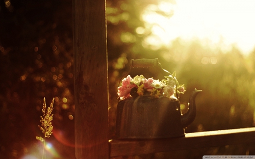 最近小游戲最火的游戲