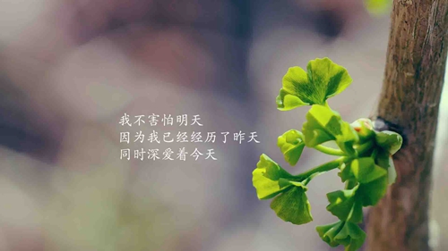 端游搬磚什么最好賣錢