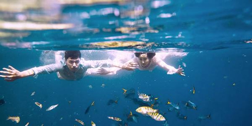 什么手游可以不氪金