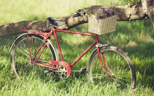 玖的繁體字個性網名怎么寫