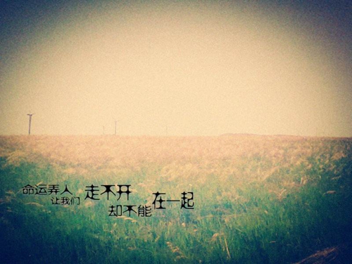 完美世界手游月仙厲害嗎（完美世界手游神月谷）