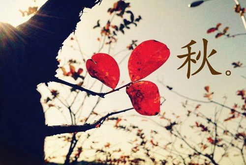 他想要的真相是什么歌（他真的真的想知道什么歌）