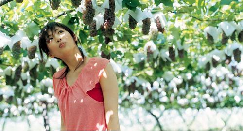 狗子配對(duì)小游戲叫什么