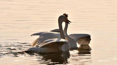 可怕的短信大全