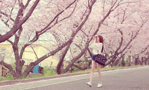 《愛情里的洋芋片：幽默調侃自己的話語集》