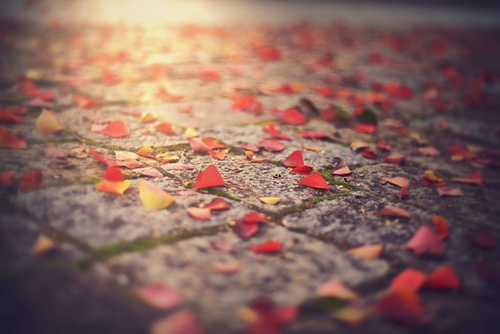 cf手游武器便宜好用嗎