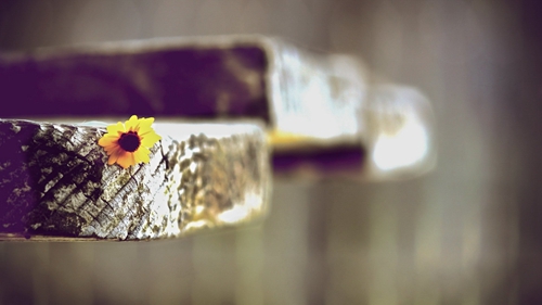 11歲玩什么手游好玩