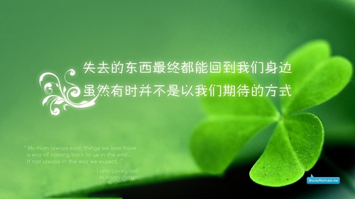 河智苑：唯美網名精選，知乎風格獨特展示