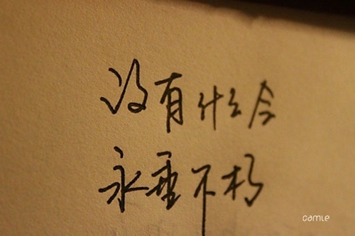 關于兄弟的搞笑的話語「鬧鬧的愛情句子」 關于兄弟的搞笑的話語「鬧鬧的愛情句子」