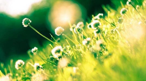 分手的句子大全（25條分手的失戀句子）